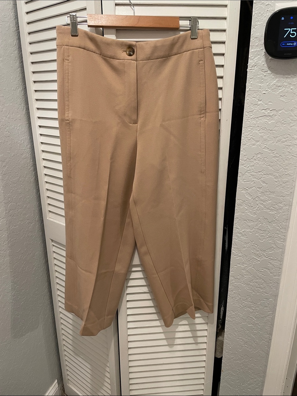 Ann Taylor Wide Straight-Leg, High Waist Above Ankle Dress Pants in Beige